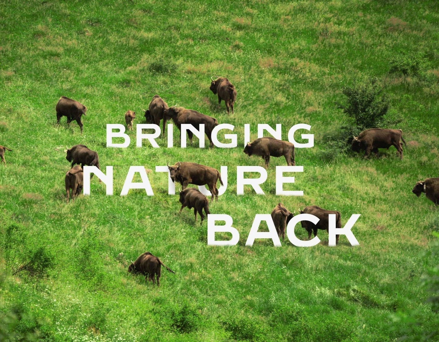 Bringing nature and wildlife back to degraded landscapes