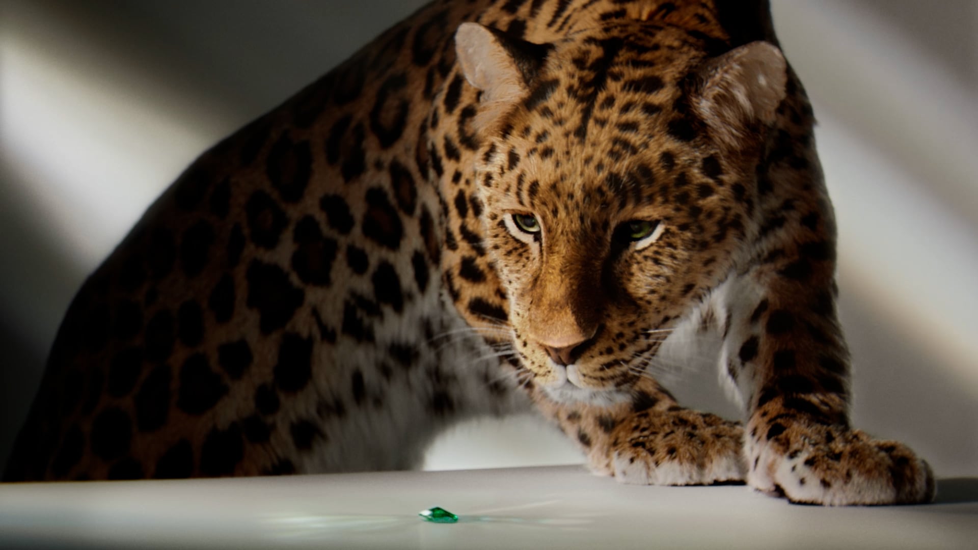 Cartier video thumbnail