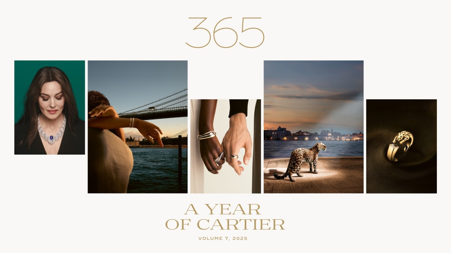 Cartier 365
