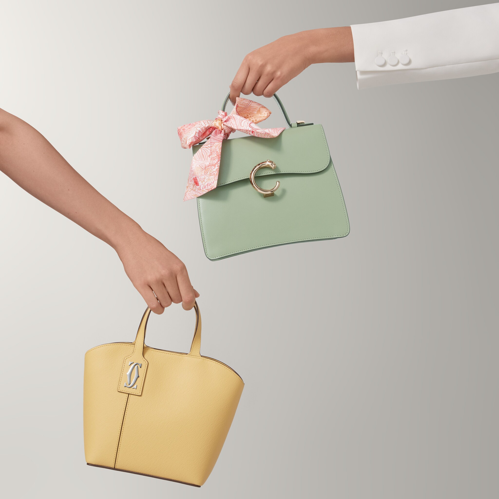 Small bag, Panth&egrave;re C