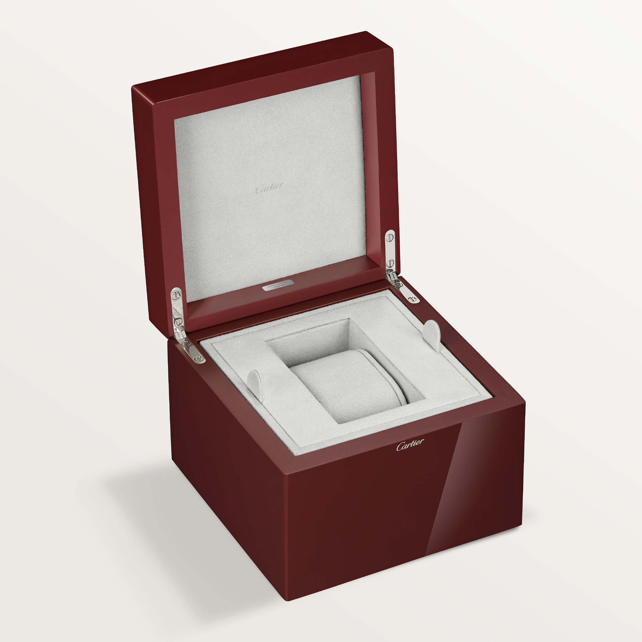 Santos-Dumont watch, image 7