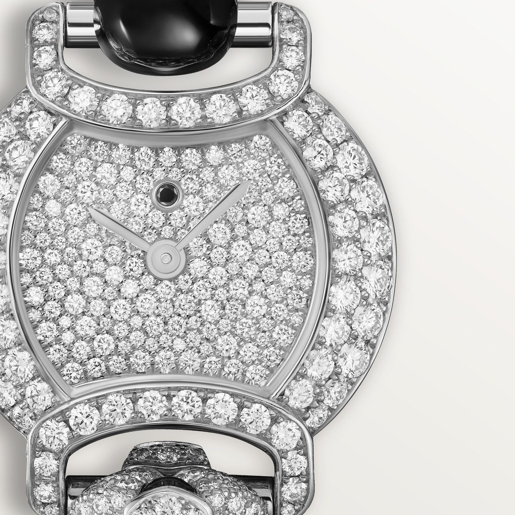 Indomptables de Cartier Watch
