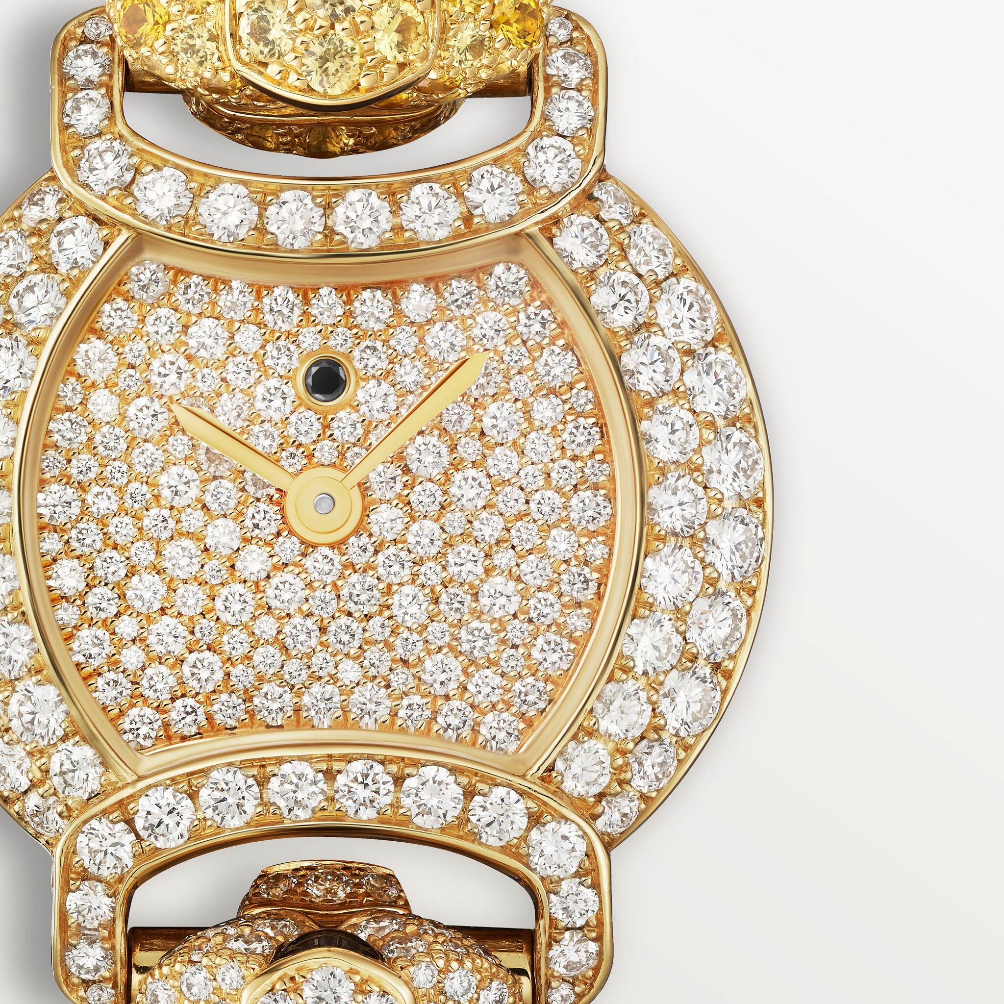 Indomptables de Cartier Watch