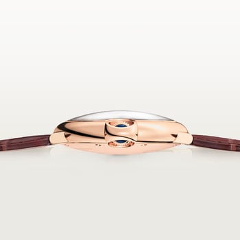 Ballon Bleu de Cartier watch Ballon Bleu de Cartier watch