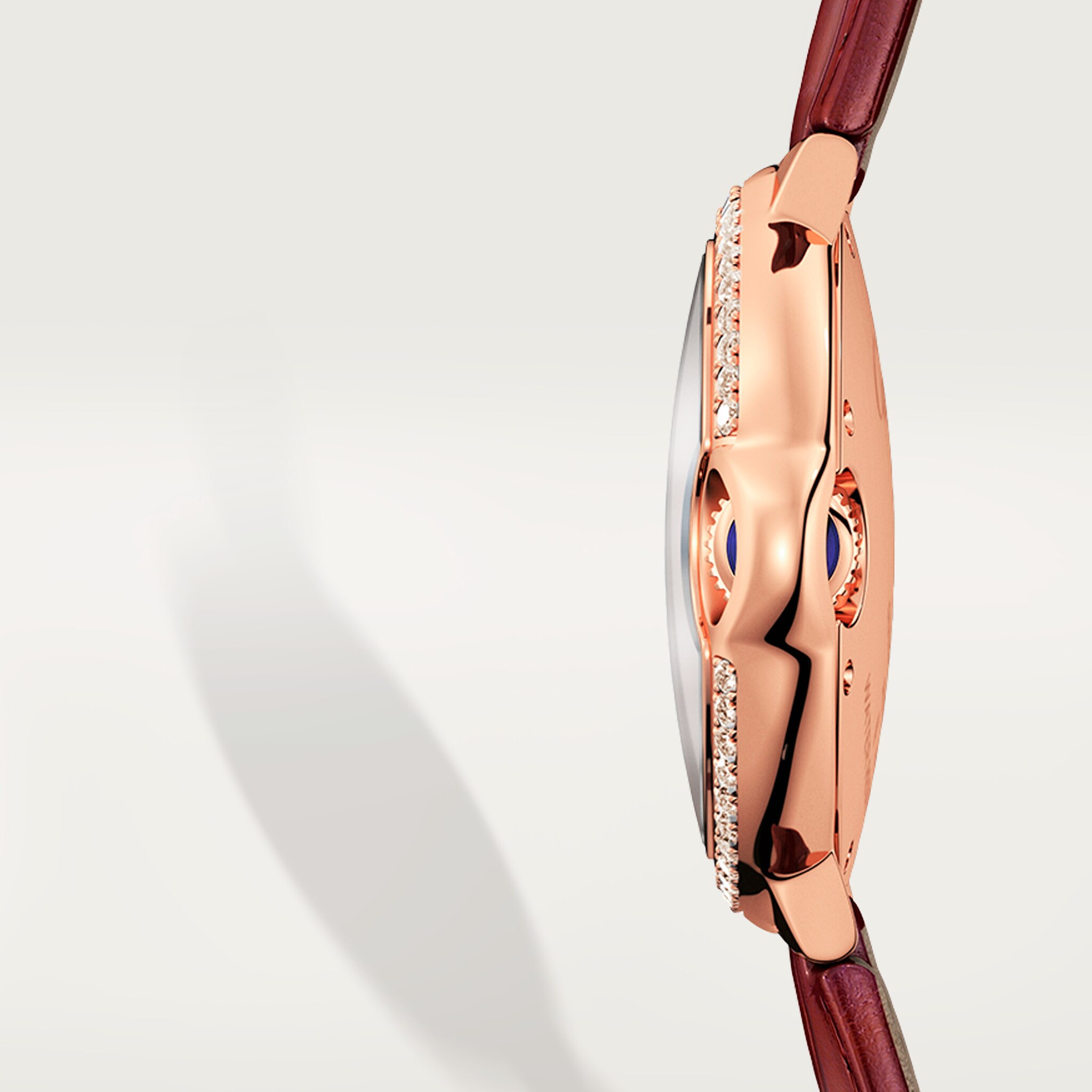 Ballon Bleu de Cartier watch