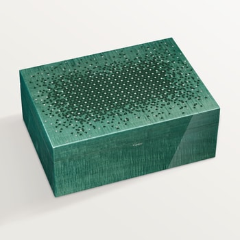 Santos de Cartier set Santos de Cartier set