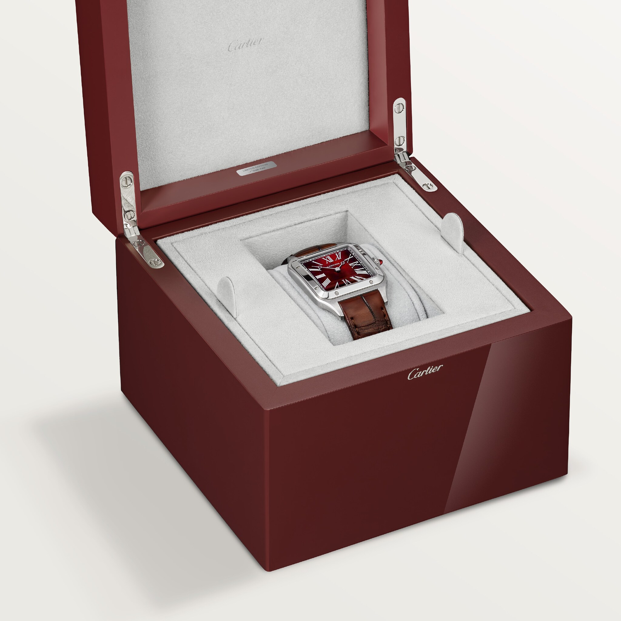 Santos-Dumont watch, image 5