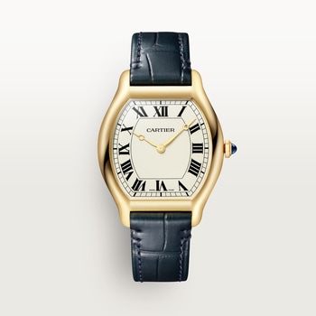 Tortue watch Tortue watch