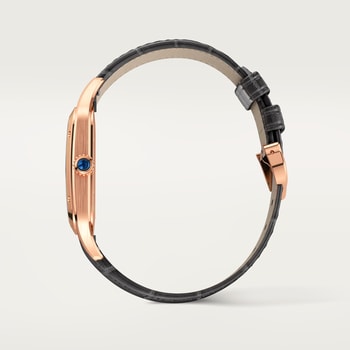 Santos-Dumont watch Santos-Dumont watch