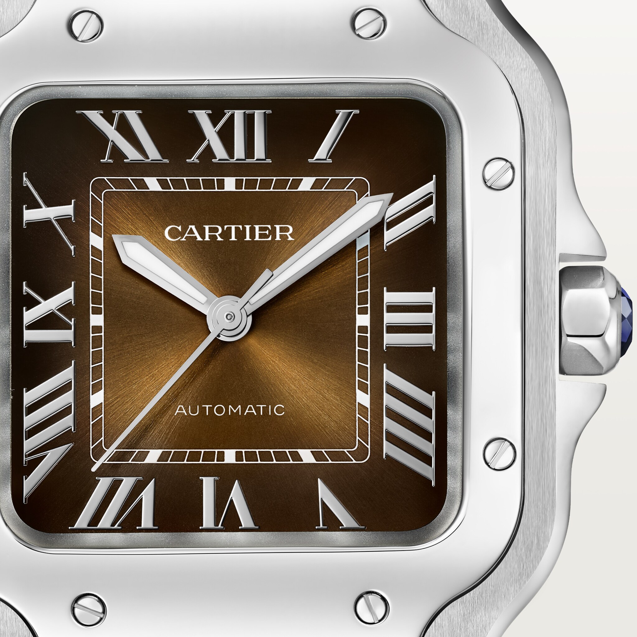 Santos de Cartier watch 