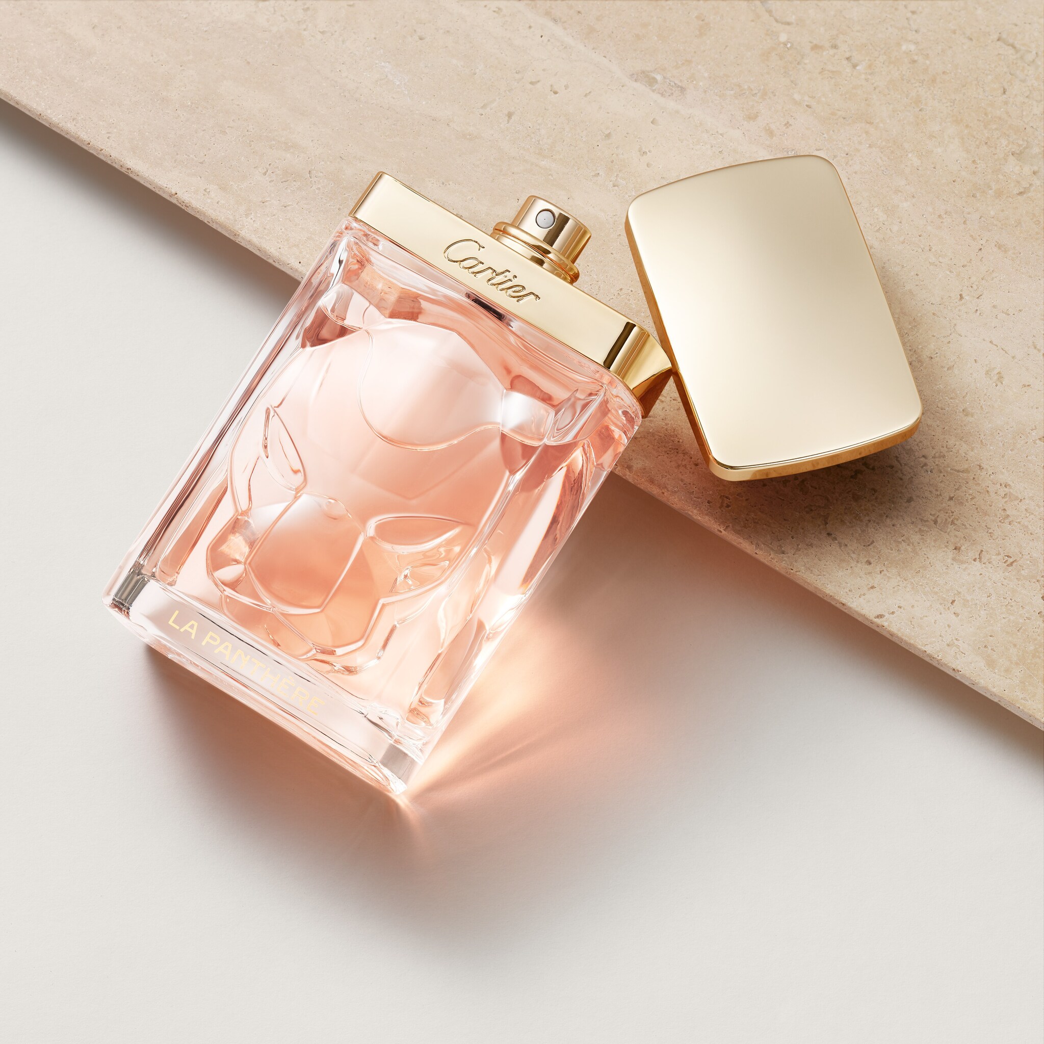 La Panth&egrave;re, image 7