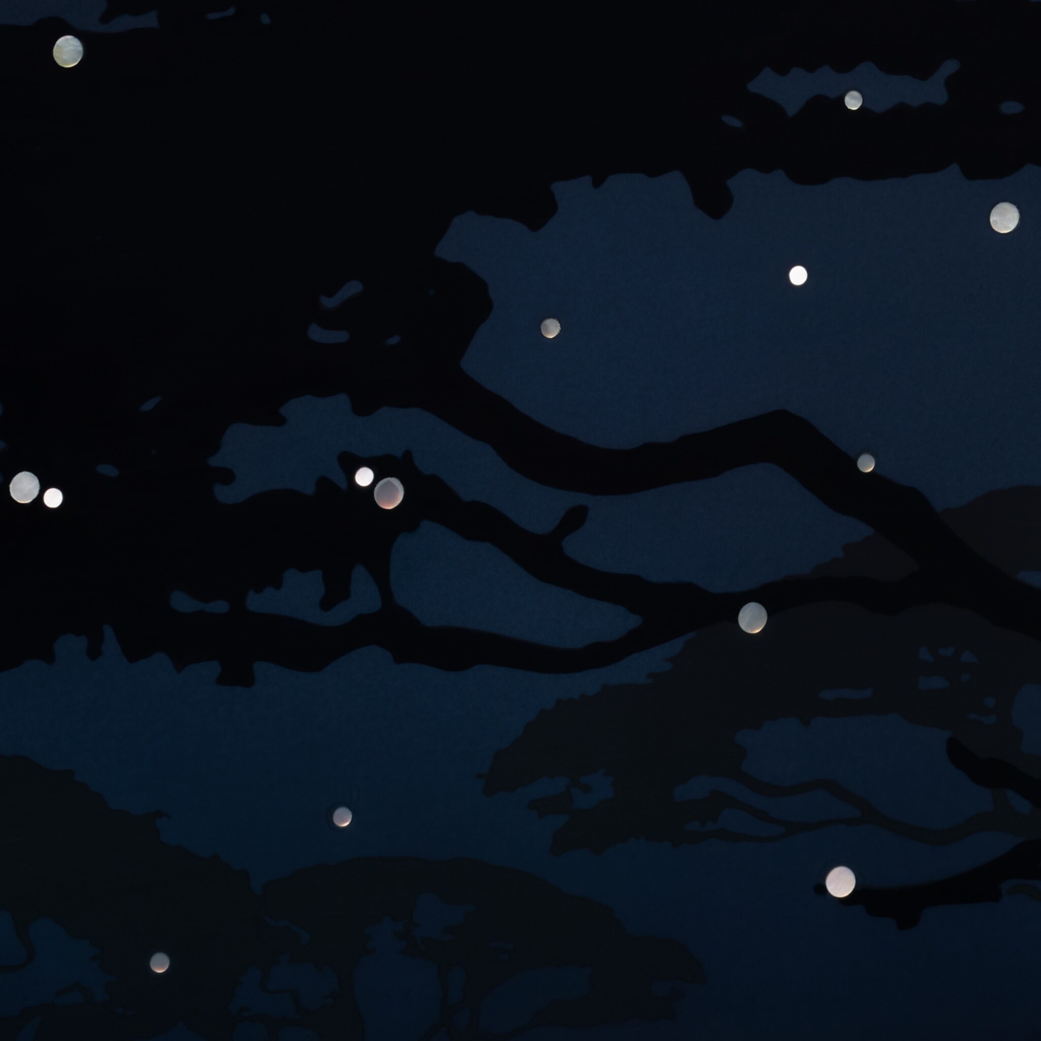 Nightsky Panther High Jewelery bag, image 9