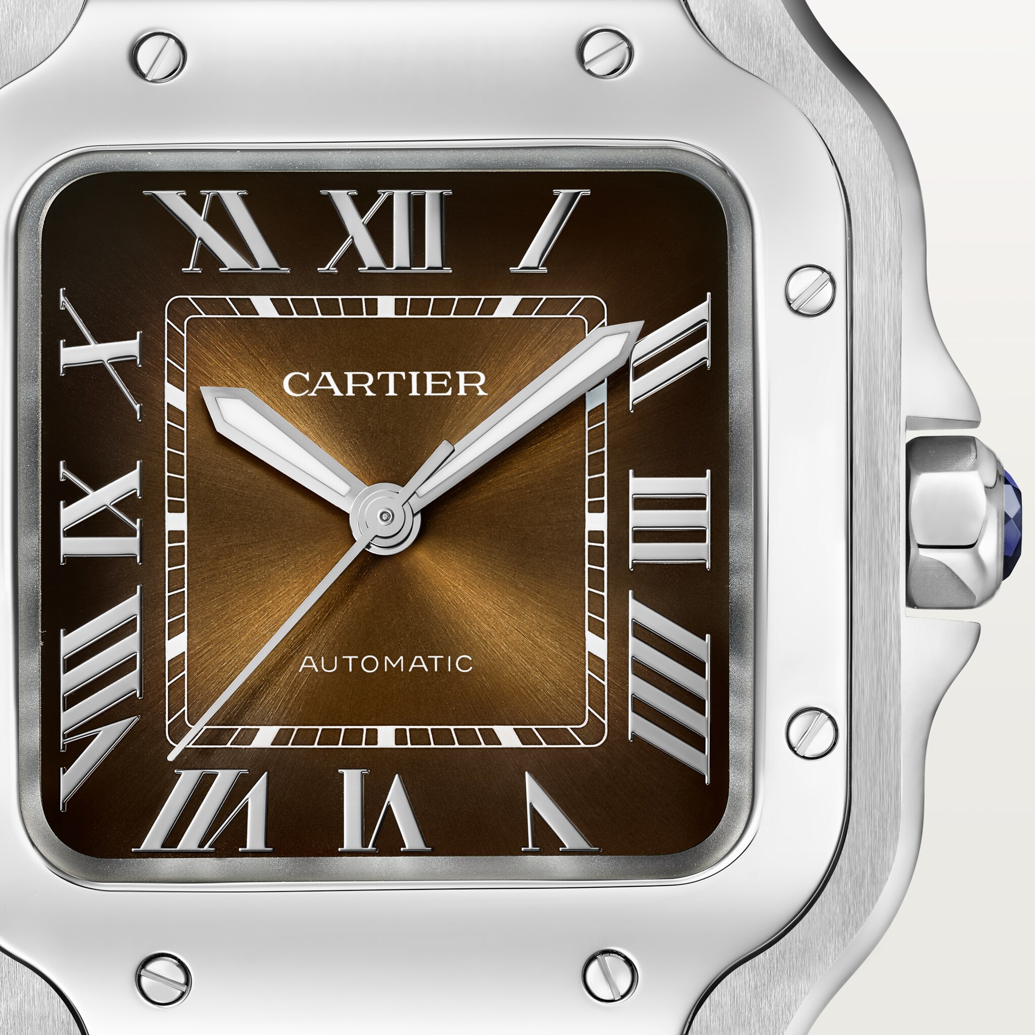 Santos de Cartier watch, image 9