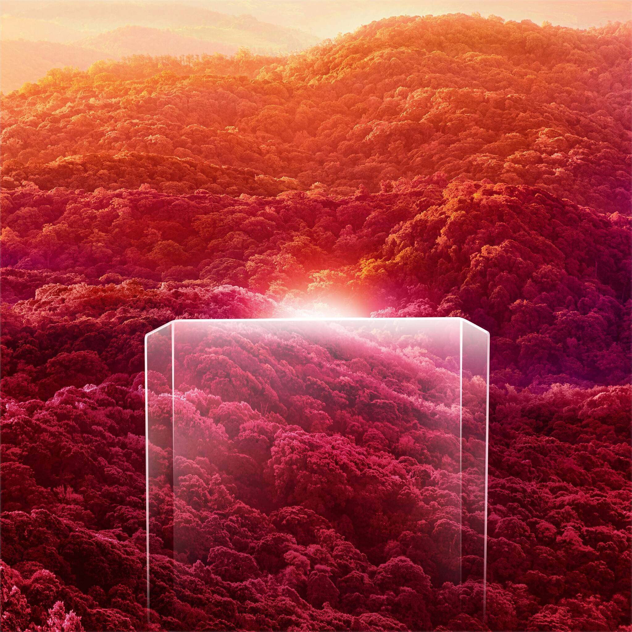 Les &Eacute;crins Parfum&eacute;s Cartier Canop&eacute;e, image 7