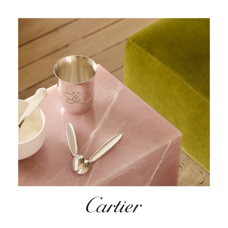 Cartier baby gifts Clearance