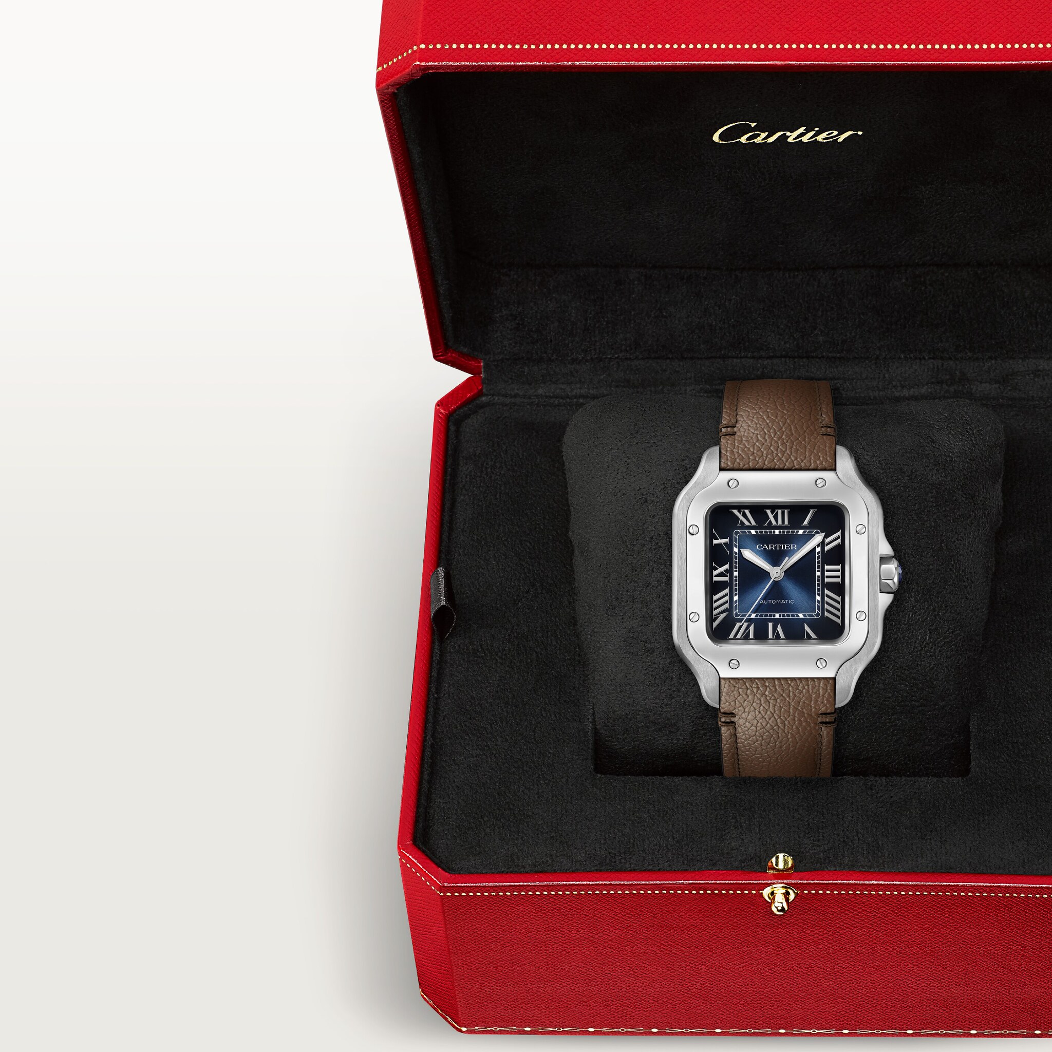 Santos de Cartier watch, image 10