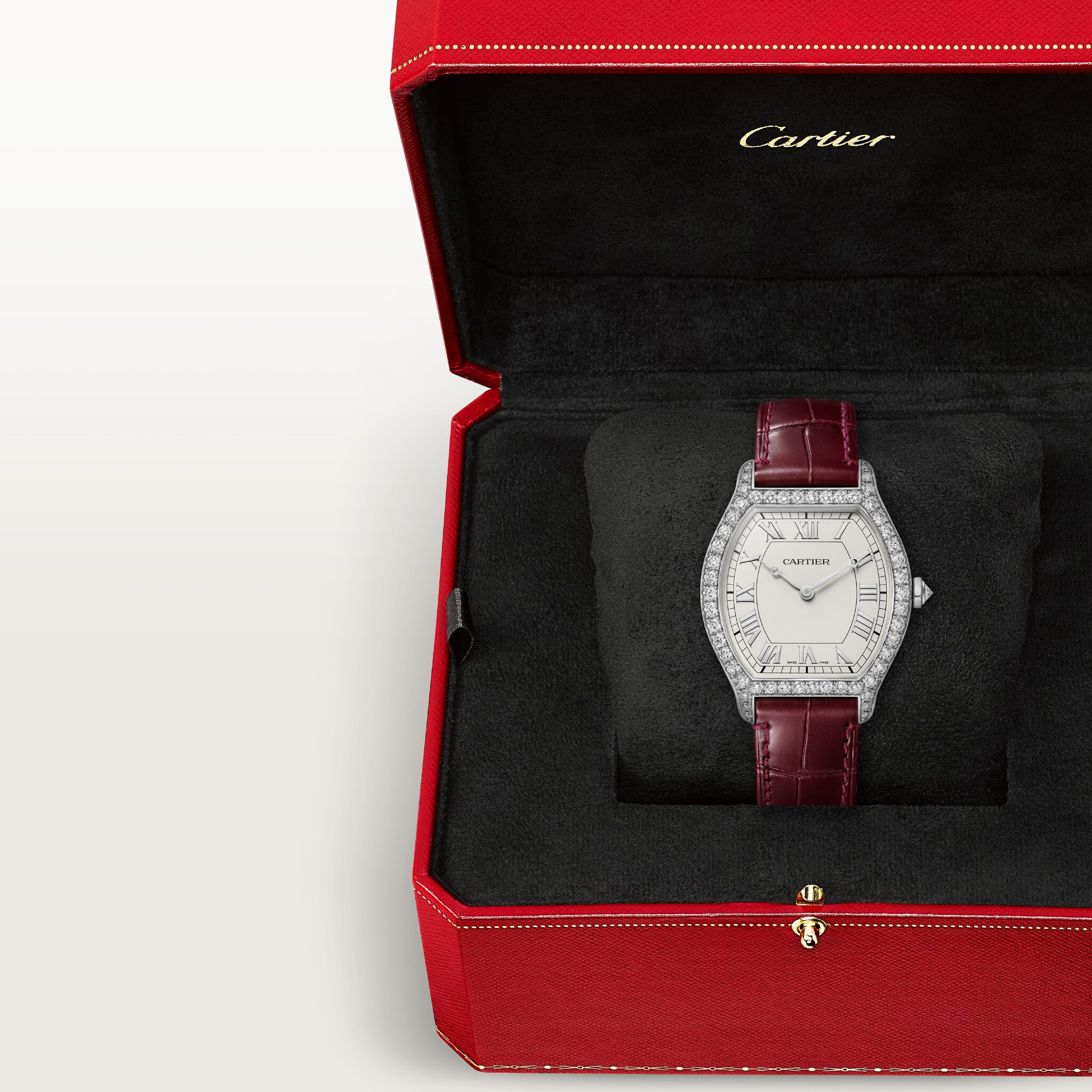 Tortue watch, image 9