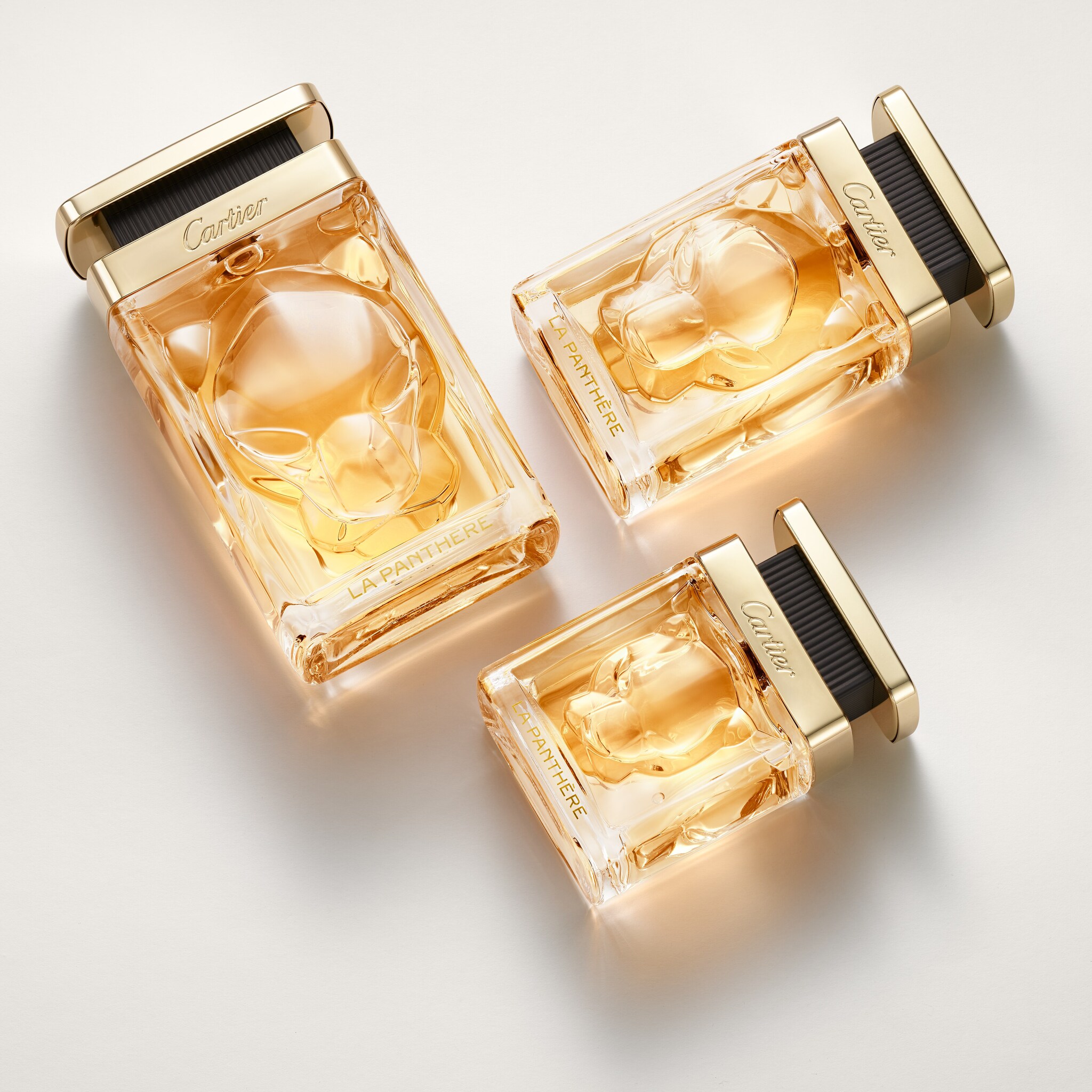 La Panth&egrave;re, image 7