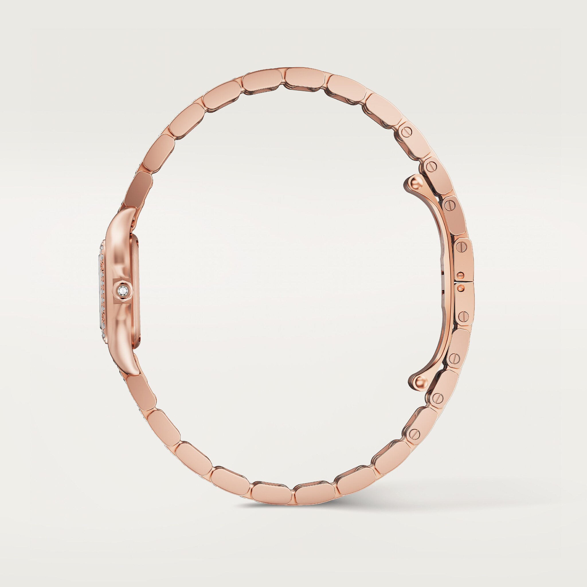 Panth&egrave;re de Cartier watch