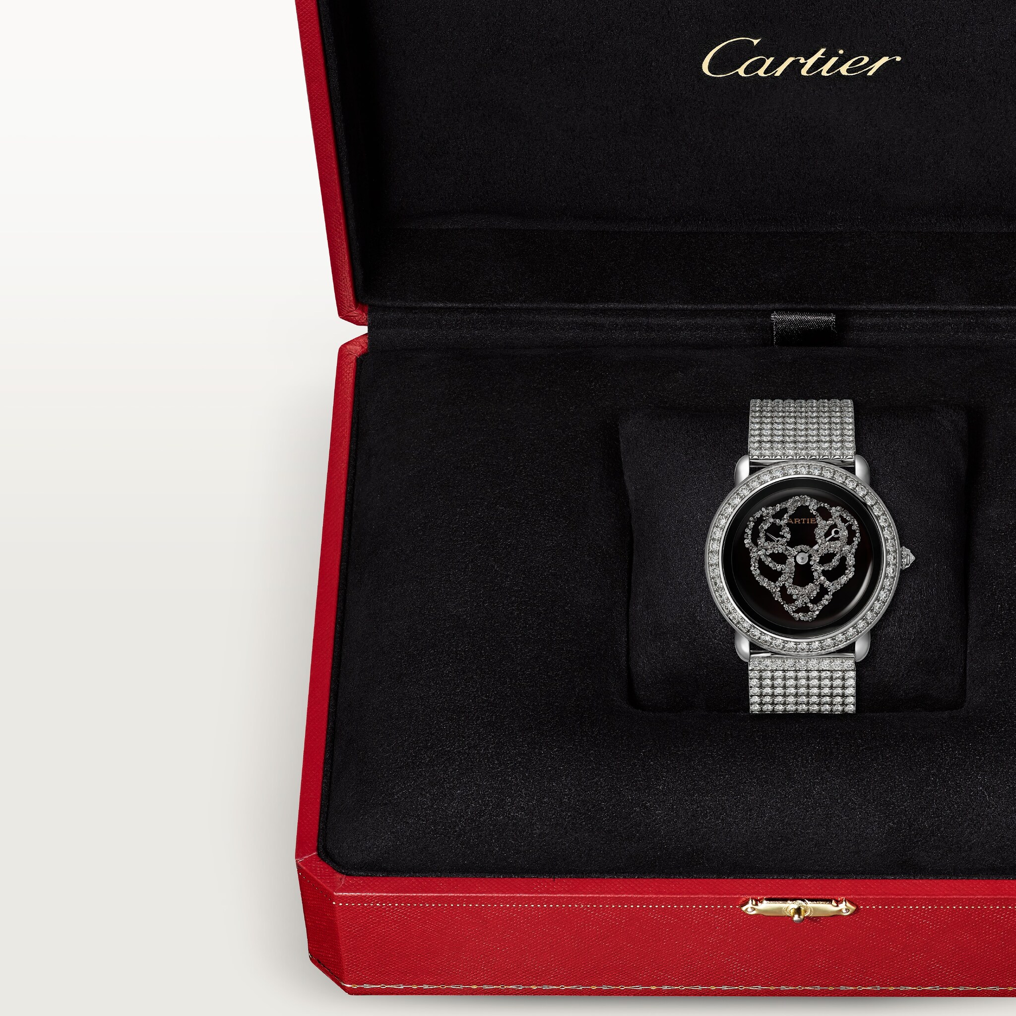 R&eacute;v&eacute;lation d'une Panth&egrave;re watch, image 6