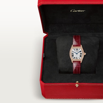 Tortue watch Tortue watch