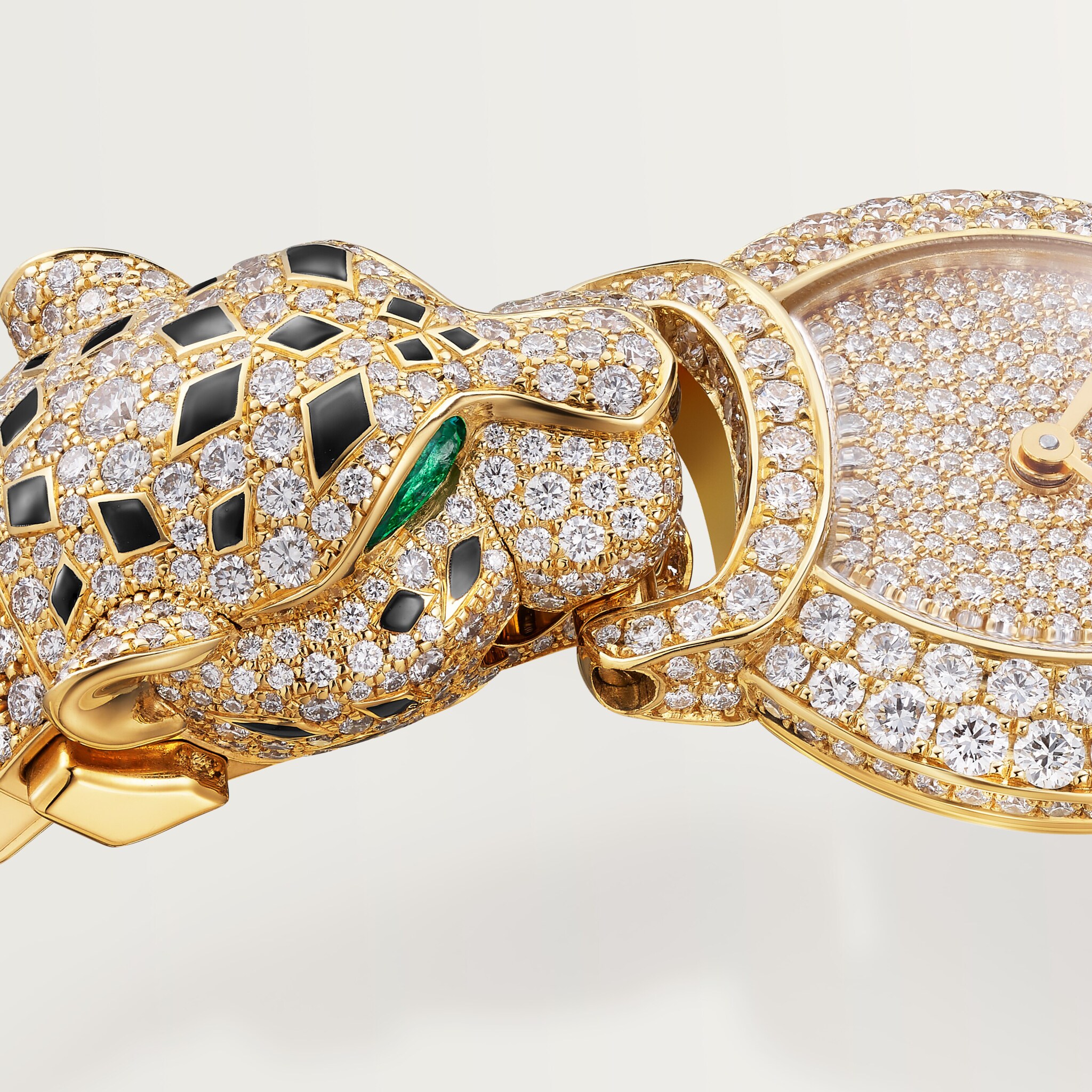 Indomptables de Cartier Watch