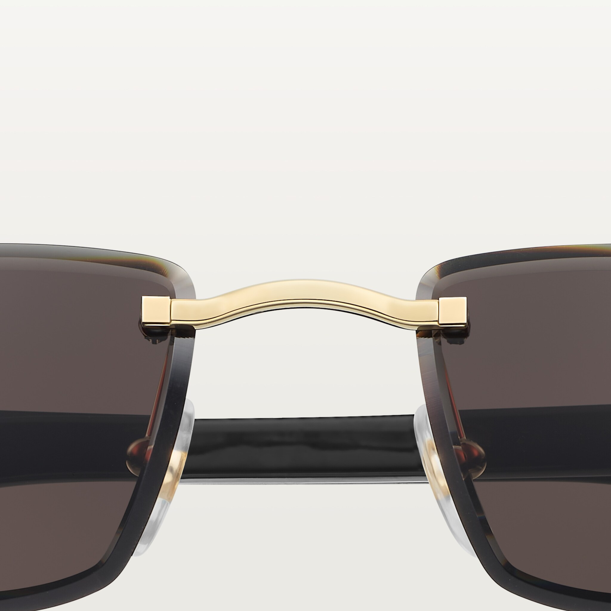 Sunglasses with Elongated C de Cartier motif