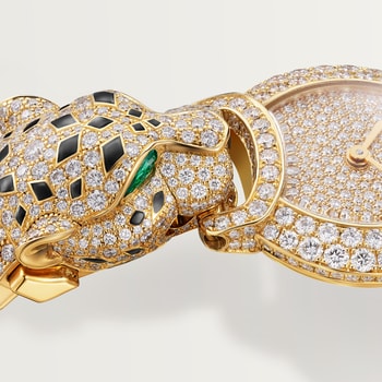 Indomptables de Cartier Watch Indomptables de Cartier Watch