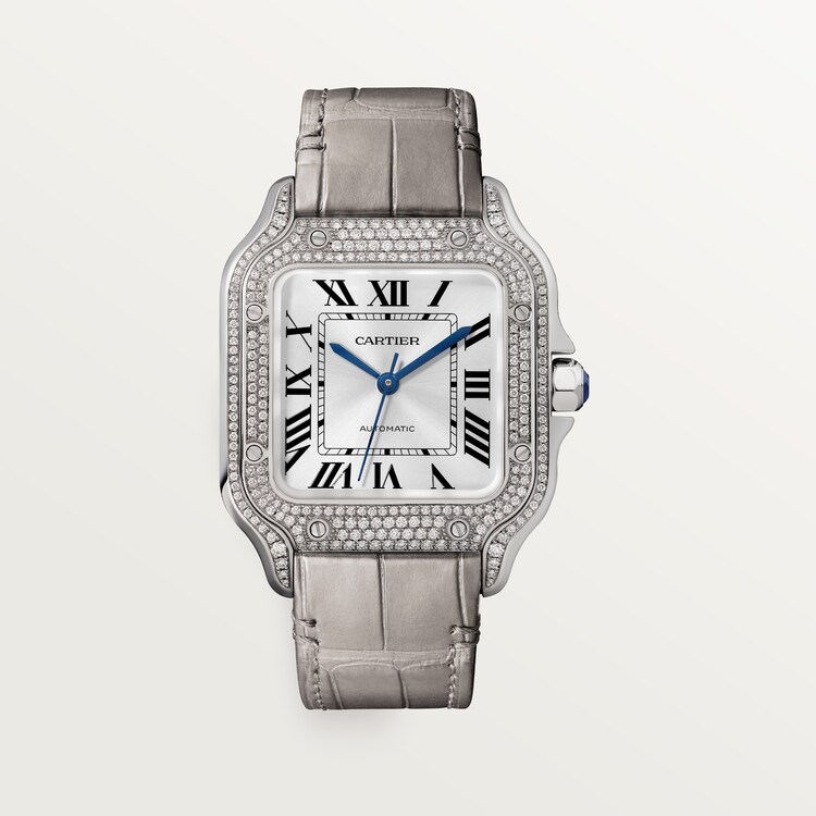 Cartier santos 100 women's Clearance