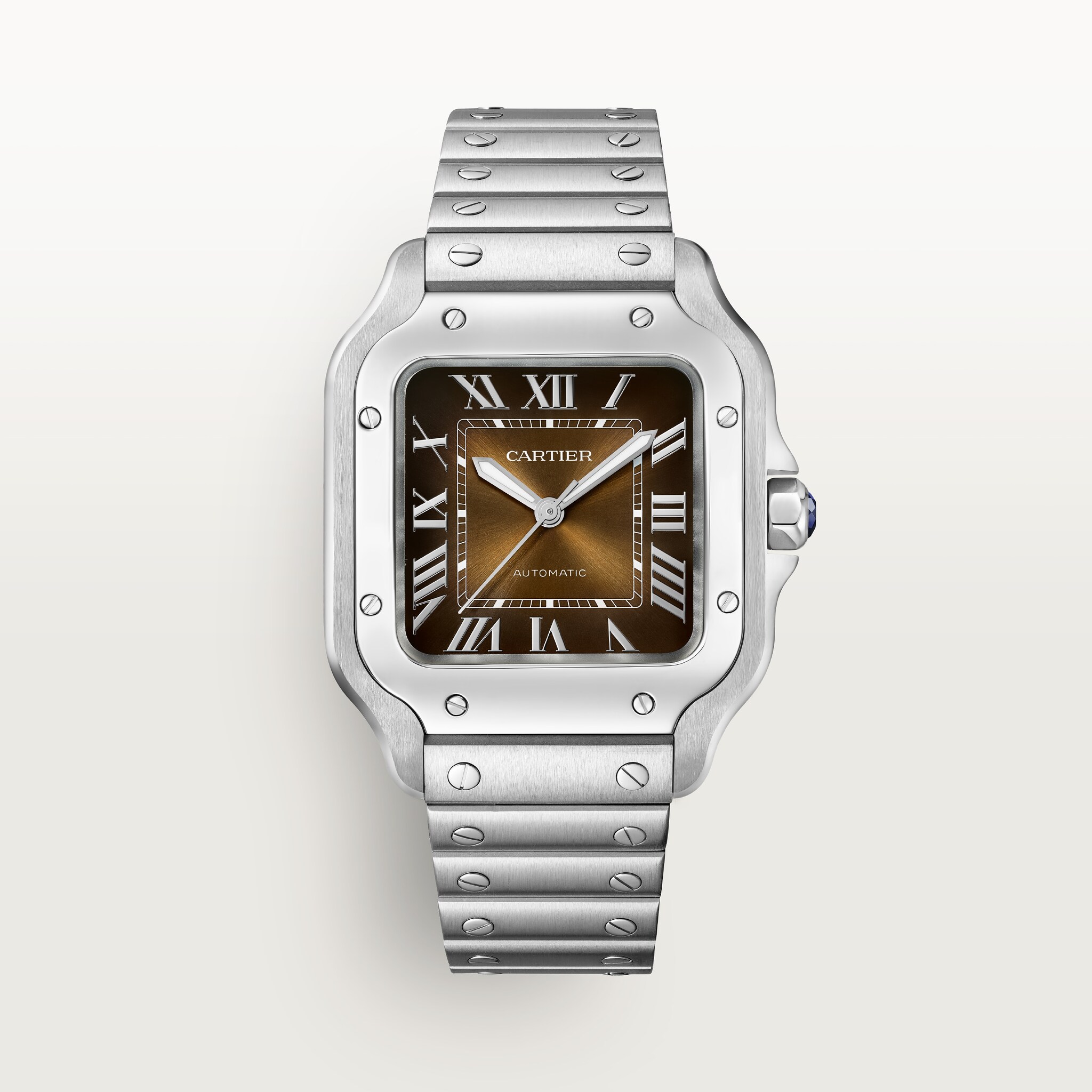 Santos de Cartier watch