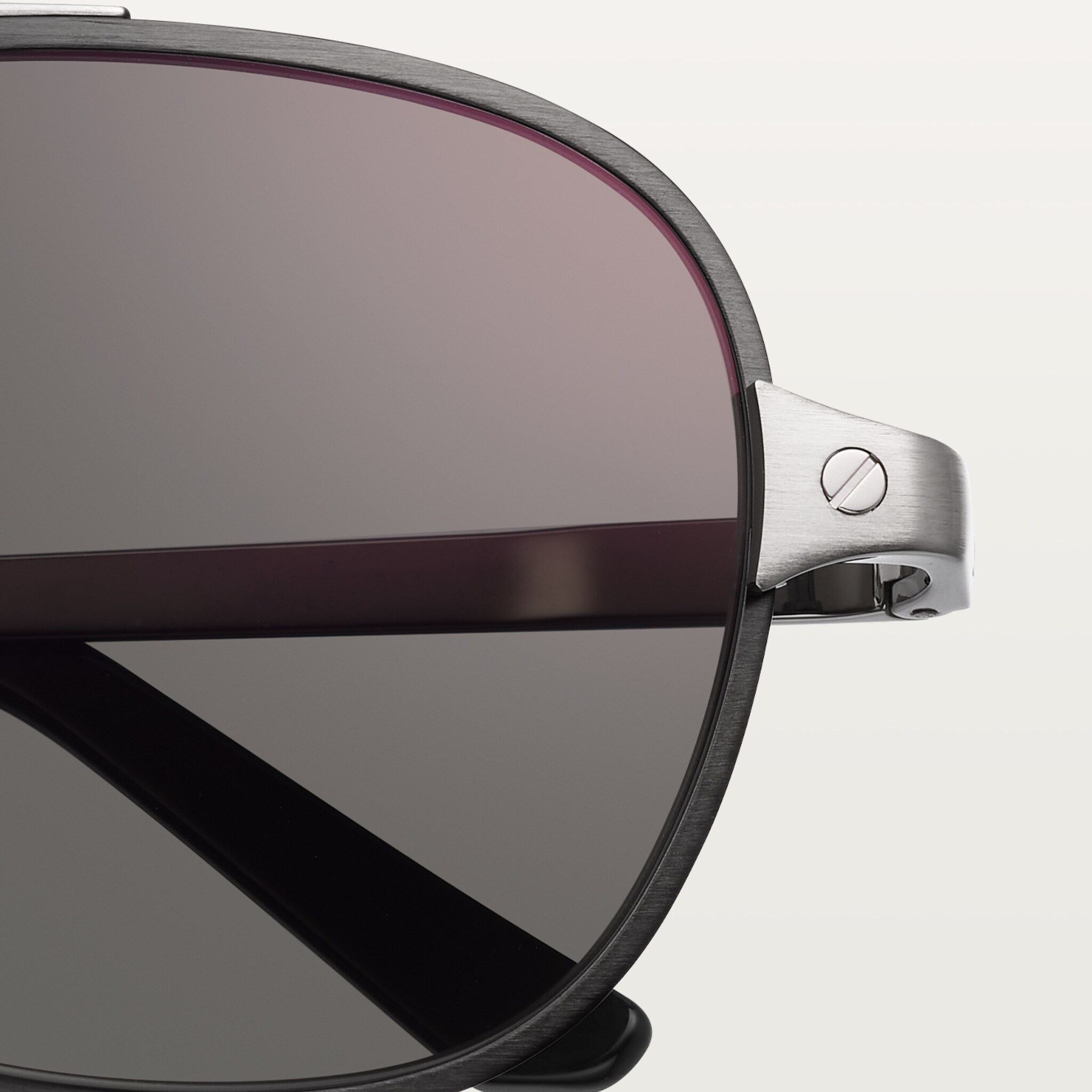 Santos de Cartier, Sunglasses, image 6