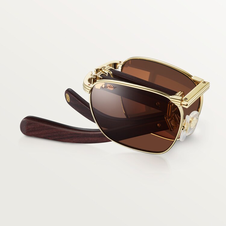 Cartier sunglasses price in india sales