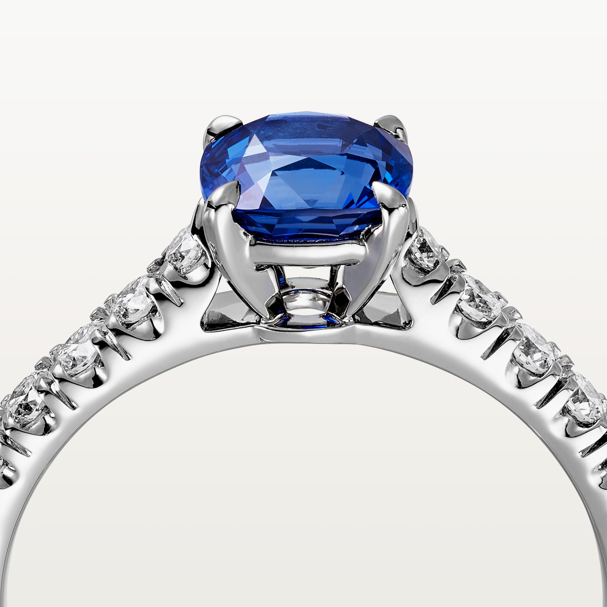 1895 solitaire, cushion-cut sapphire, paved 