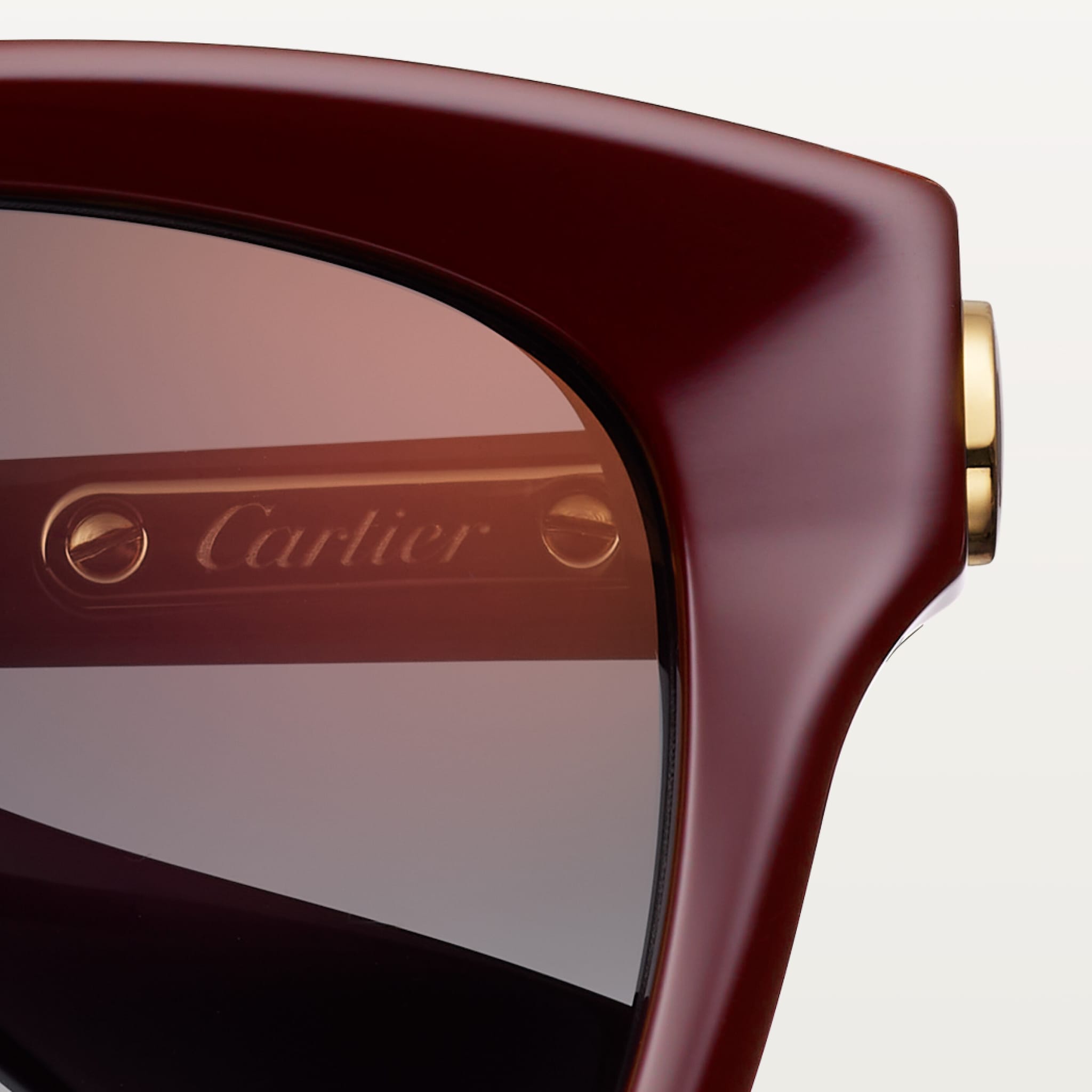 C 드 까르띠에 선글라스, 이미지 7