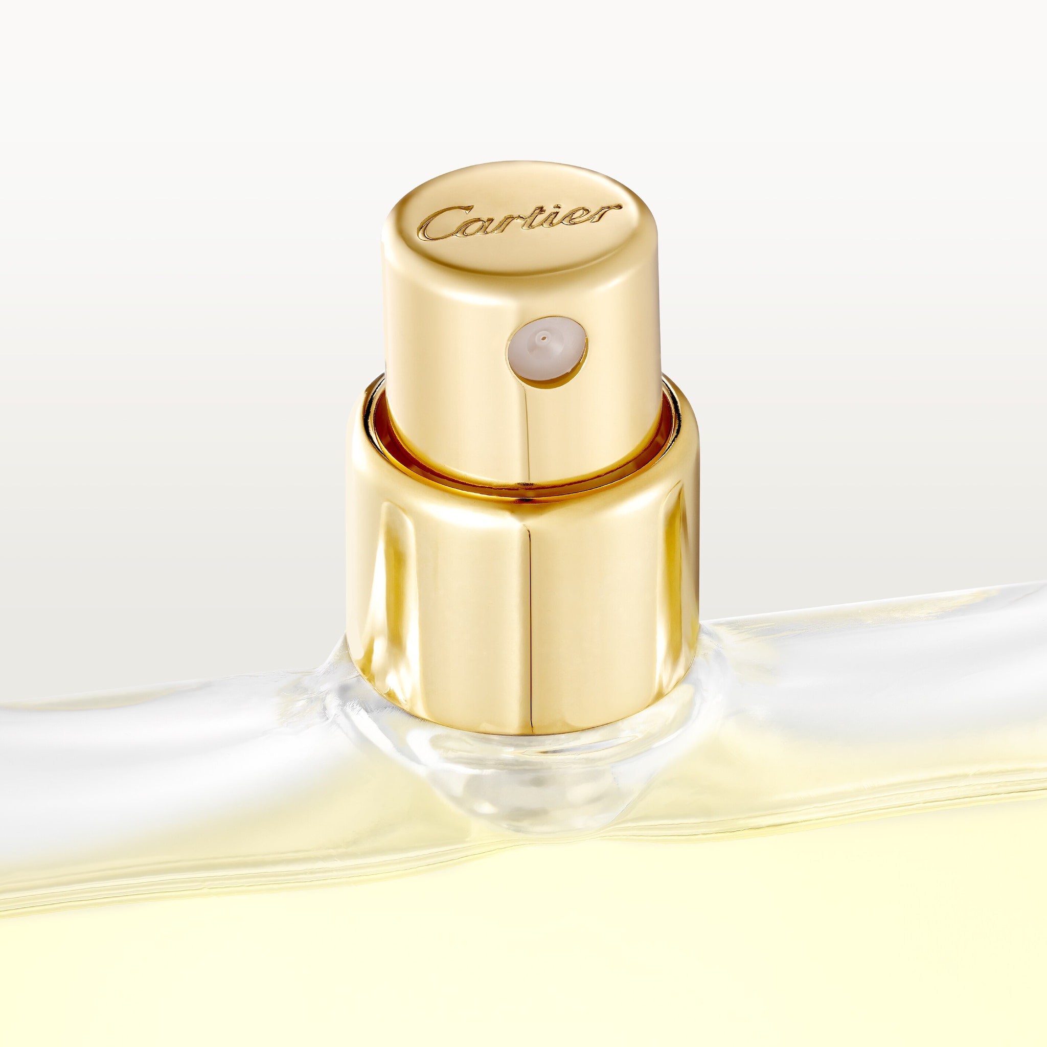 Les N&eacute;cessaires &agrave; Parfum Refills Rivi&egrave;res de Cartier Luxuriance, image 3