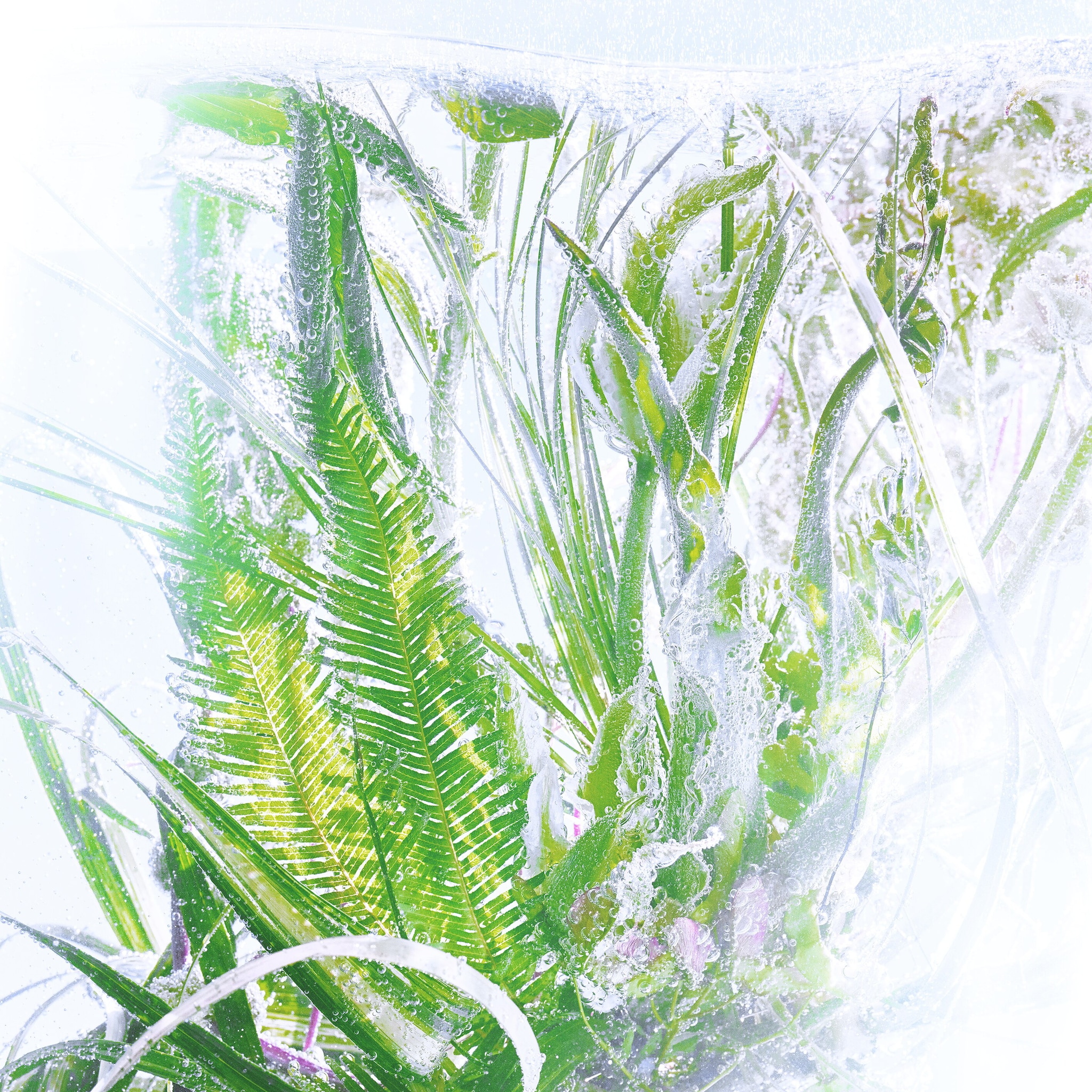 Les N&eacute;cessaires &agrave; Parfum Refills Rivi&egrave;res de Cartier Luxuriance, image 6