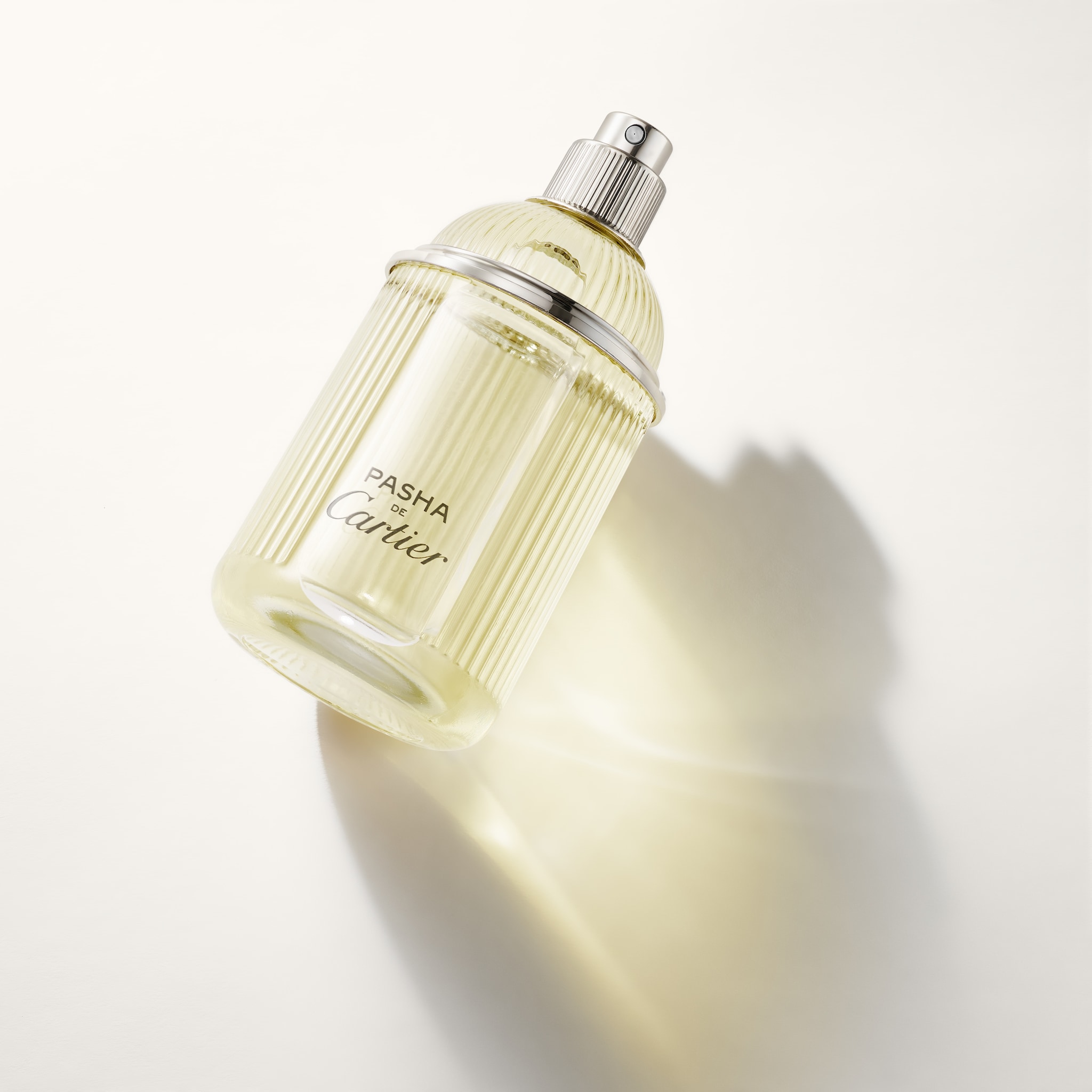 4 صورة ،"باشا دو كارتييه"