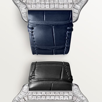 Santos de Cartier watch Santos de Cartier watch
