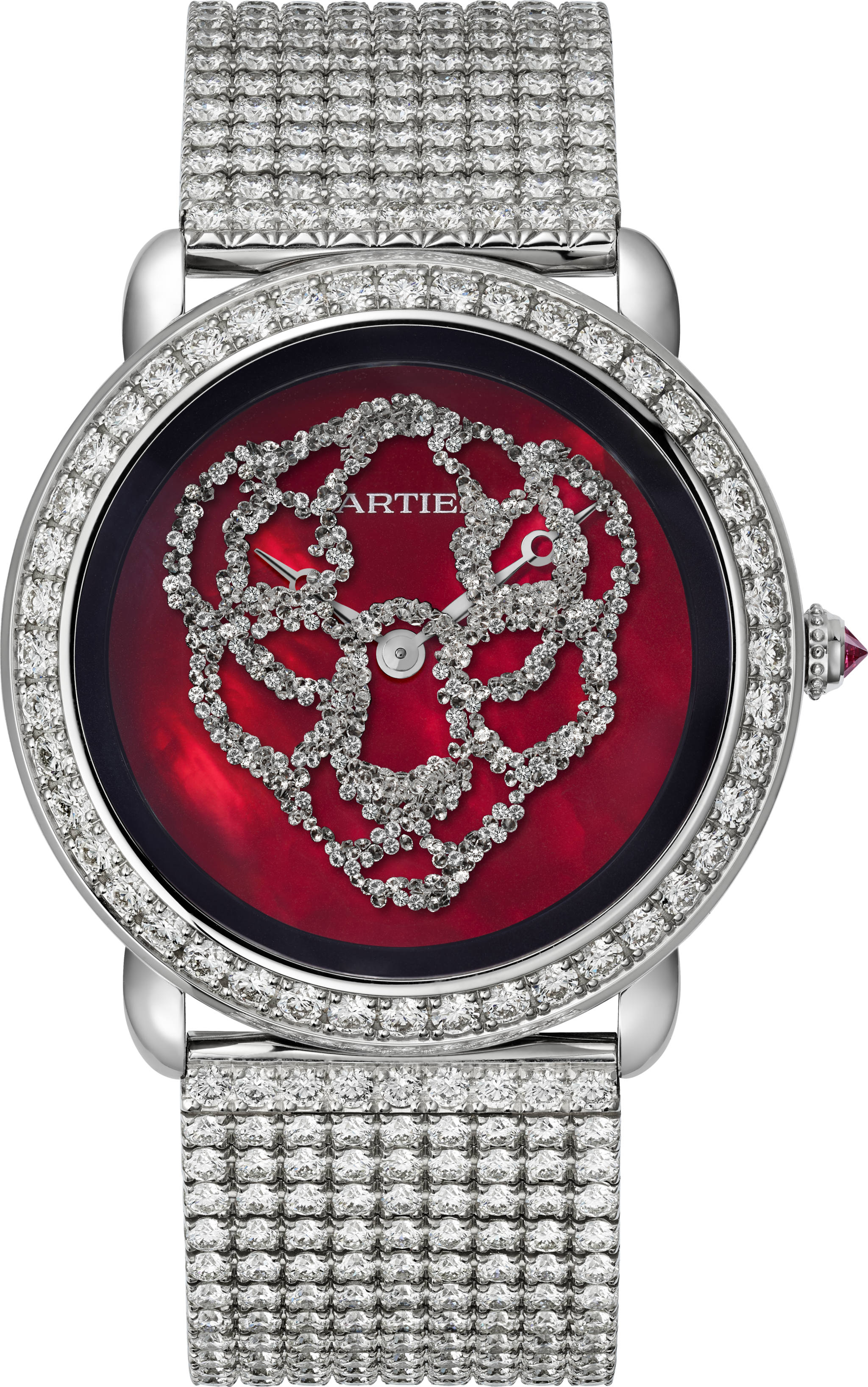 R&eacute;v&eacute;lation d'une Panth&egrave;re watch