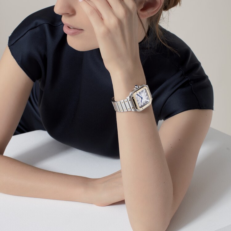 Cartier medium santos Outlet