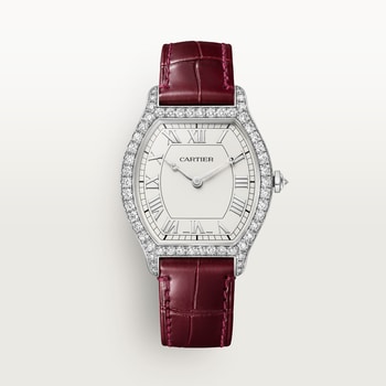 Tortue watch Tortue watch