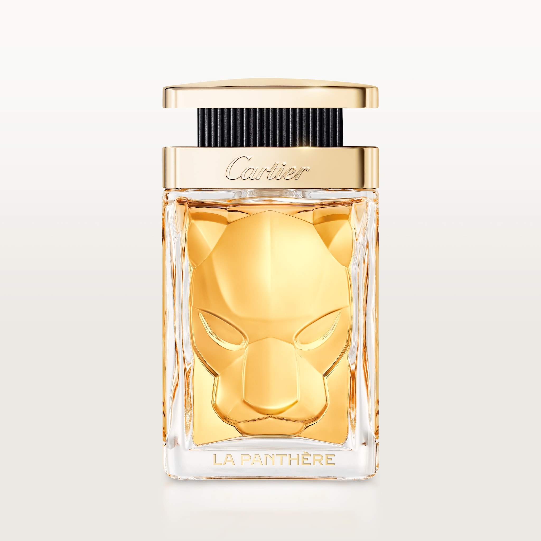 La Panth&egrave;re(라 팬더)