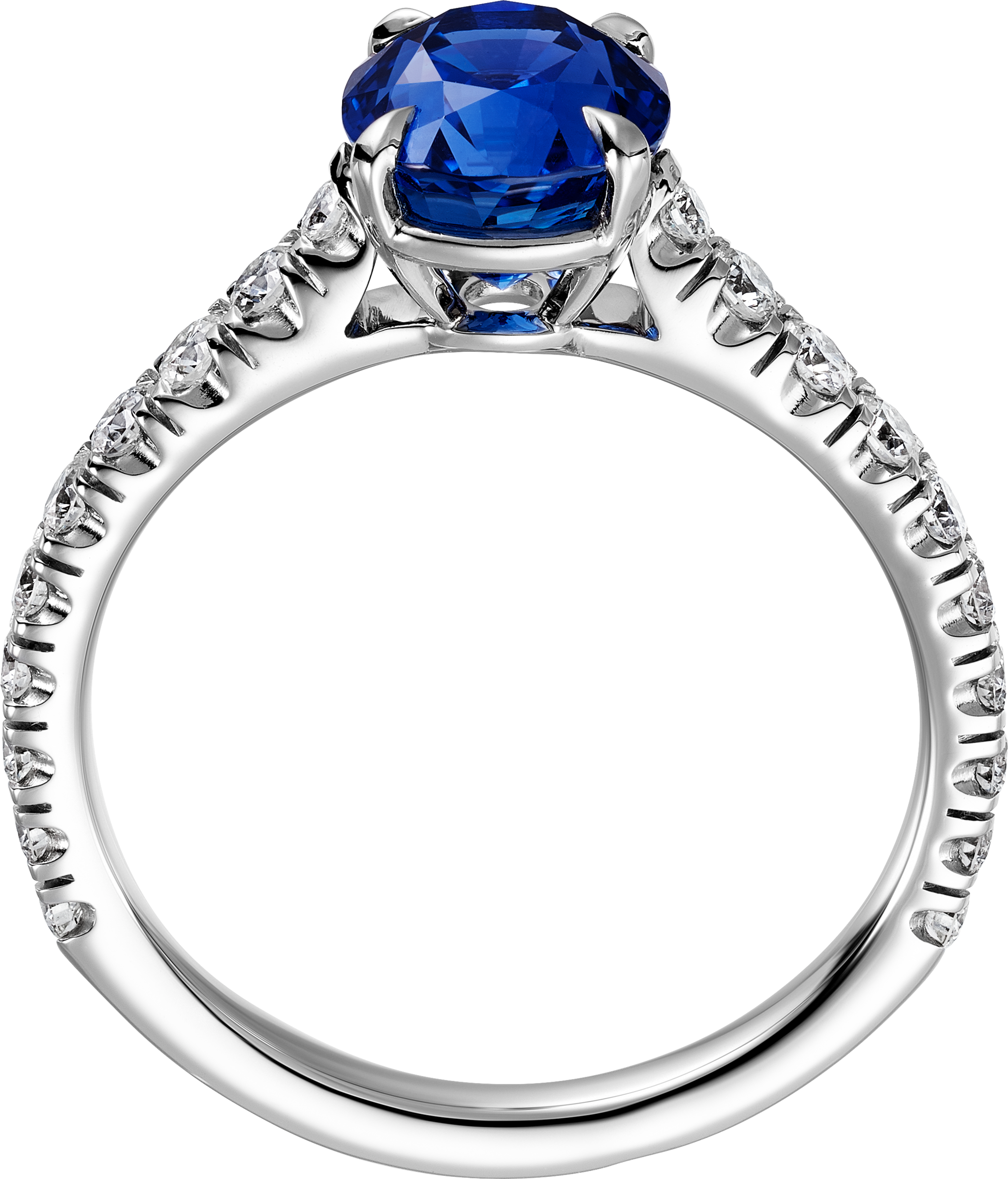 1895 solitaire, oval-cut sapphire, paved 