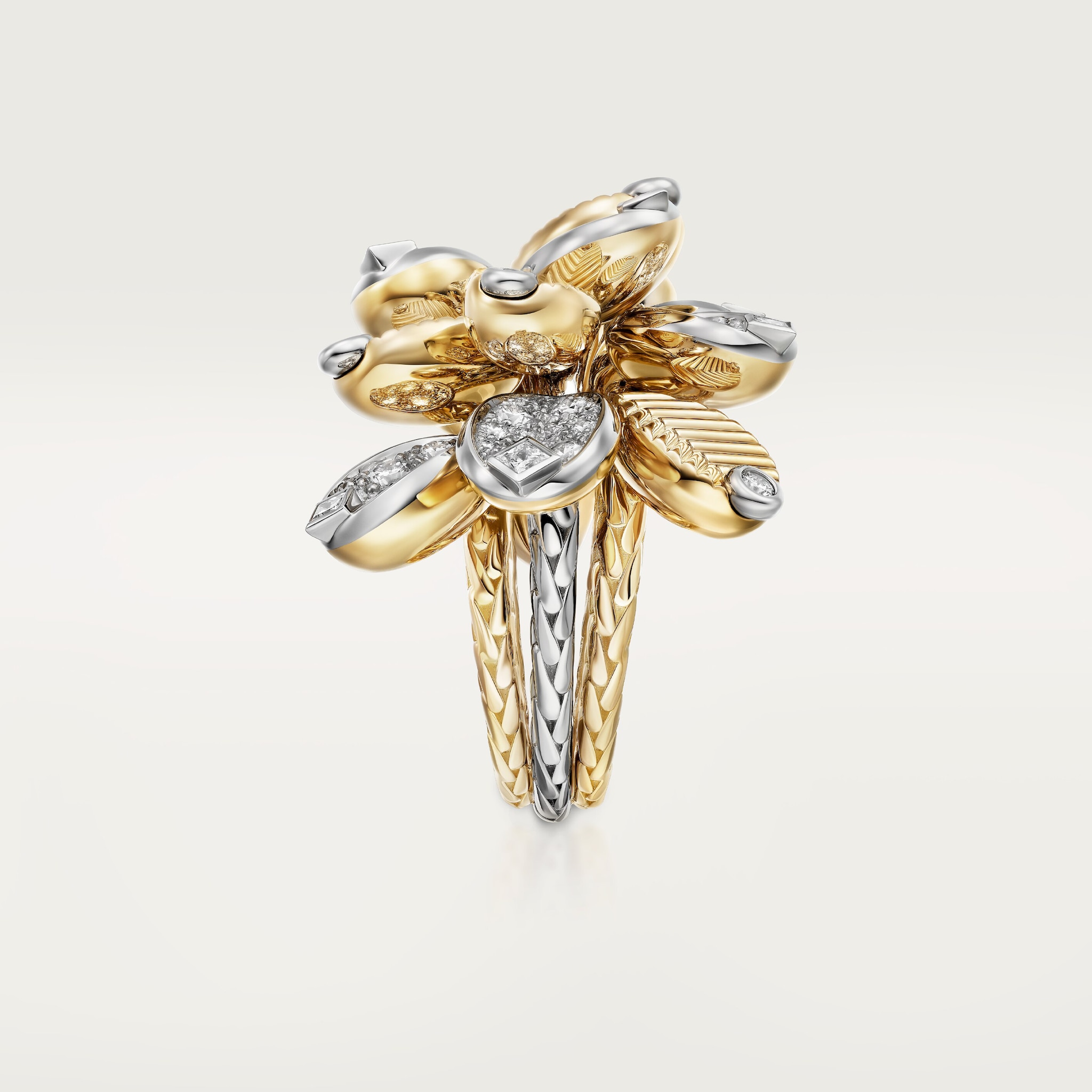 Grain de Caf&eacute; ring, semi-paved, image 5