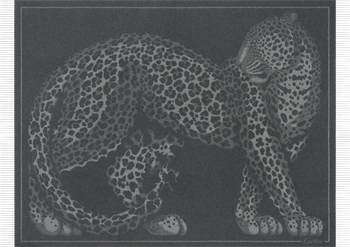 Panthère de Cartier blanket Panthère de Cartier blanket