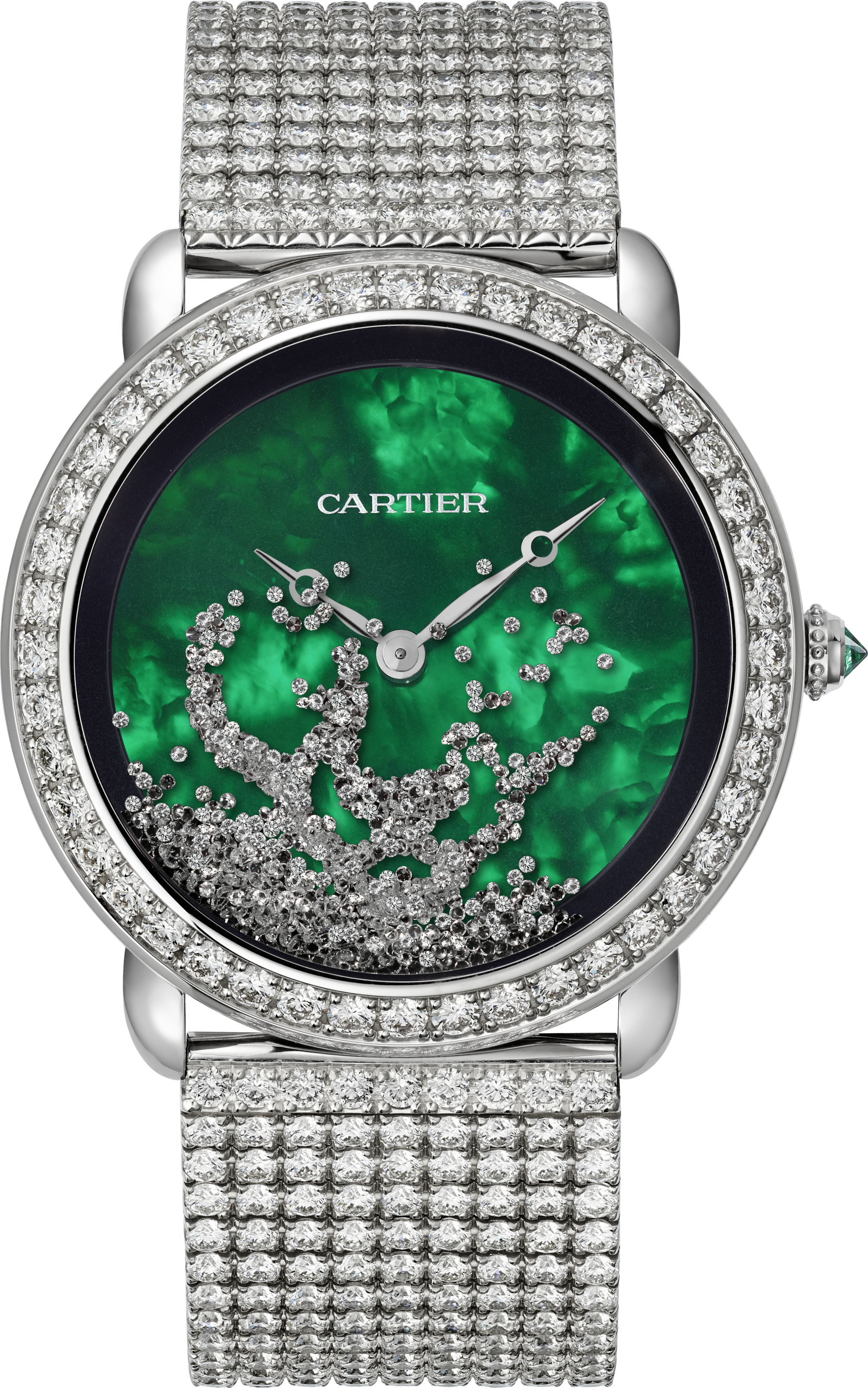 R&eacute;v&eacute;lation d'une Panth&egrave;re watch