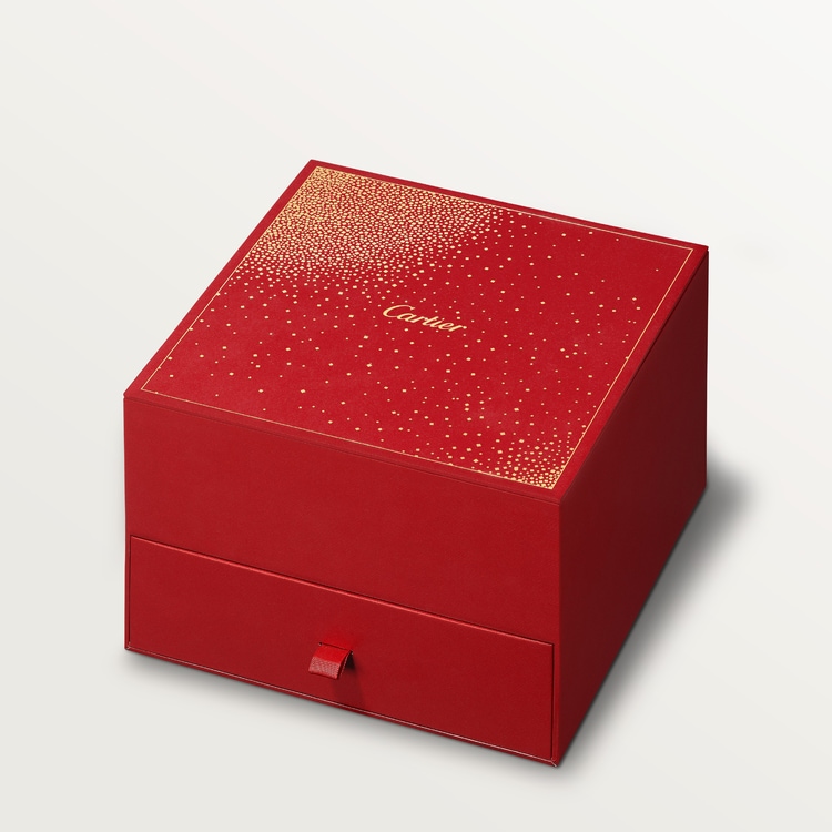 Fragrance Gift Set Pasha De Cartier Cartier