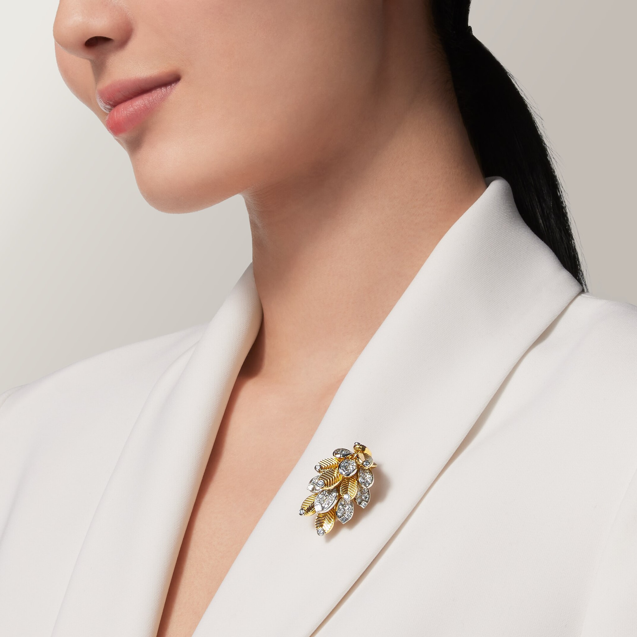 بروش من مجموعة "غران دو كافيه"