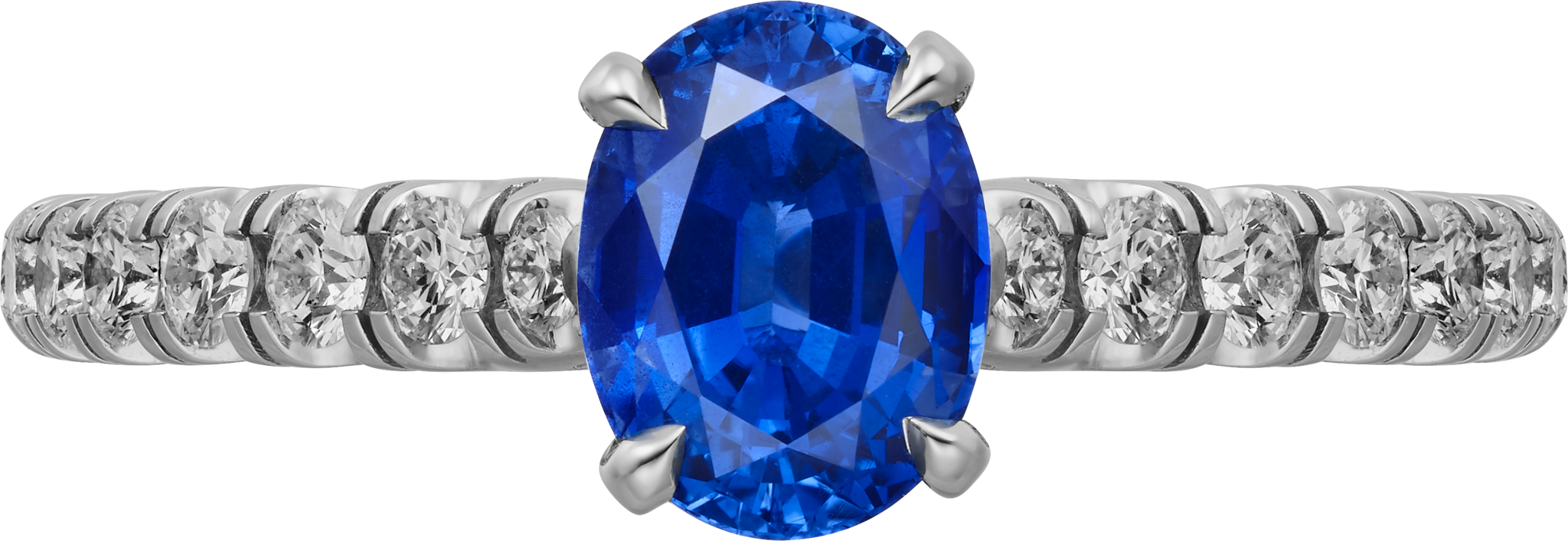 1895 solitaire, oval-cut sapphire, paved 