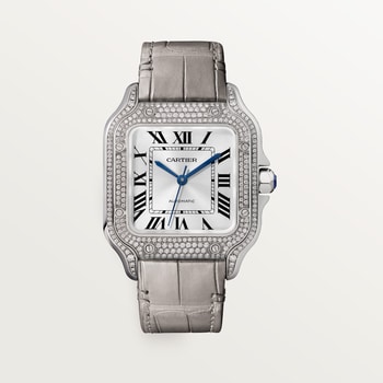 Santos de Cartier watch Santos de Cartier watch